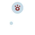 pet acupuncture icon