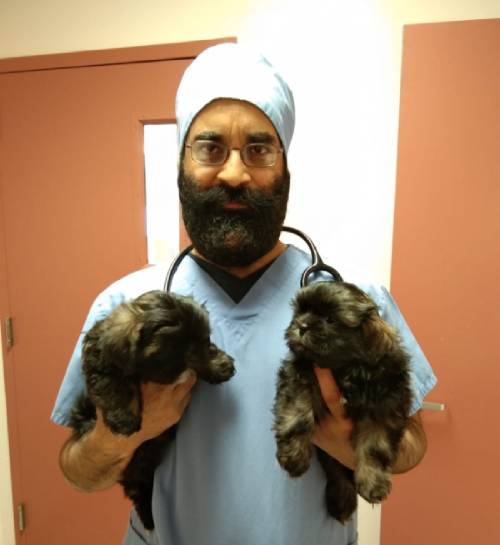Dr. Harjeet Singh Oberoi