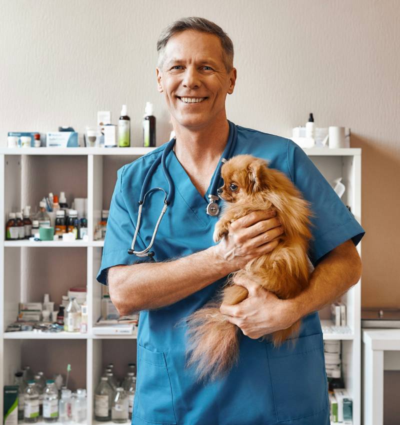 Pet Dental Services