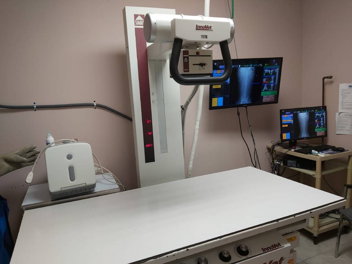 Ultrasound & Radiology